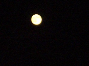 CIMG0258