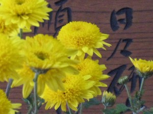 IMG_2554