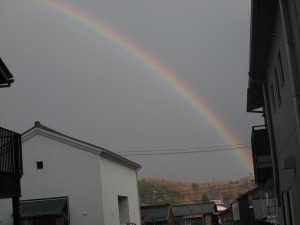 IMG_2586