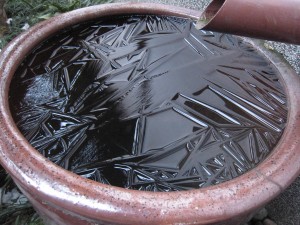 IMG_2676