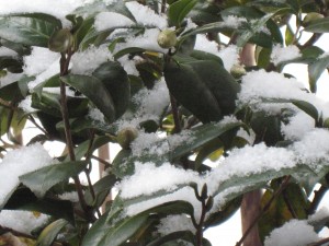 IMG_2712