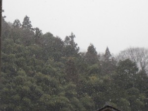 IMG_2762