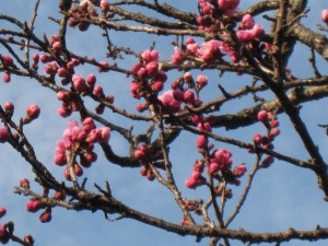 IMG_2763