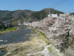 CIMG0505