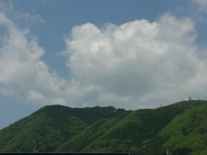 CIMG0518 (2)