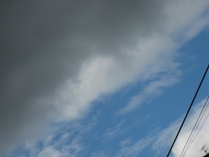 IMG_2910