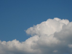 IMG_3154