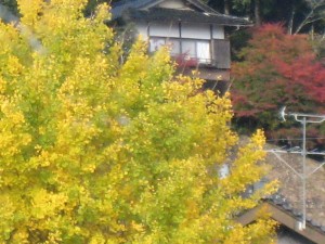 IMG_3361