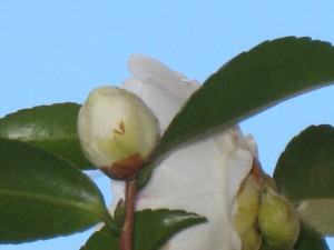 IMG_3373