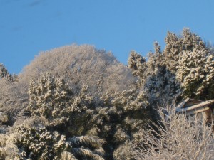 IMG_3436