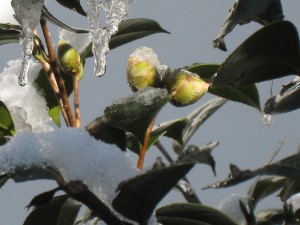 IMG_3543