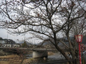 IMG_3592