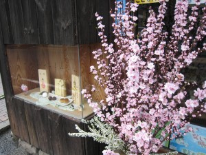 IMG_3599