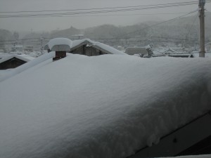 雪国になりました！