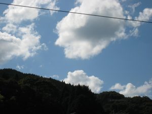 入道雲の様です