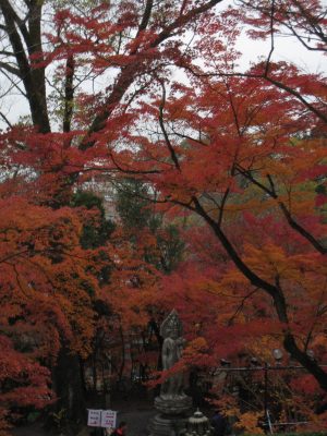 もみじの永観堂