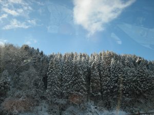 関東では大雪でしたが…