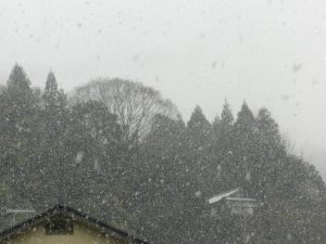 降りしきる雪!!